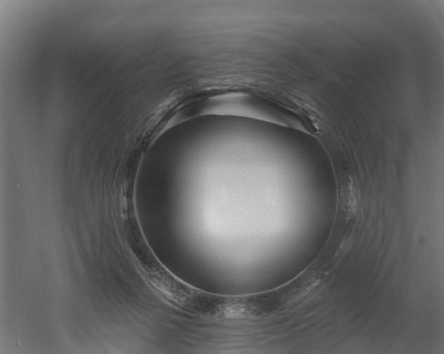 X0000052940264200507151651