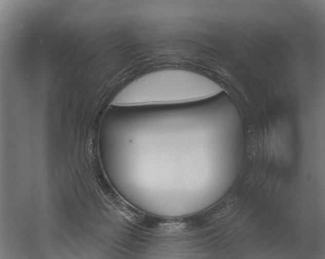 X0000052940266200507151651