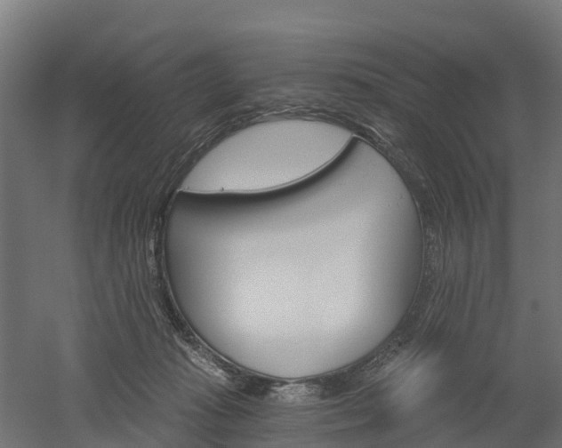 X0000052940269200507151651