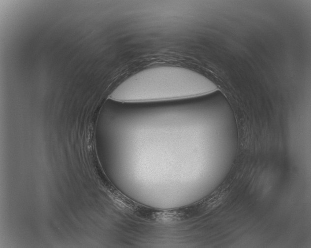 X0000052940273200507151651