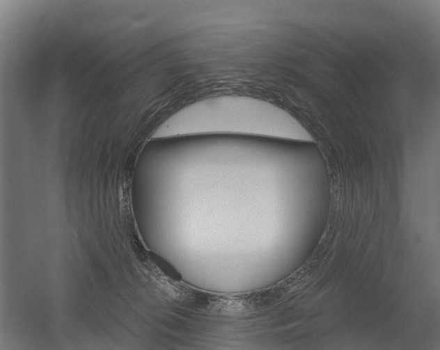 X0000052940276200507151651