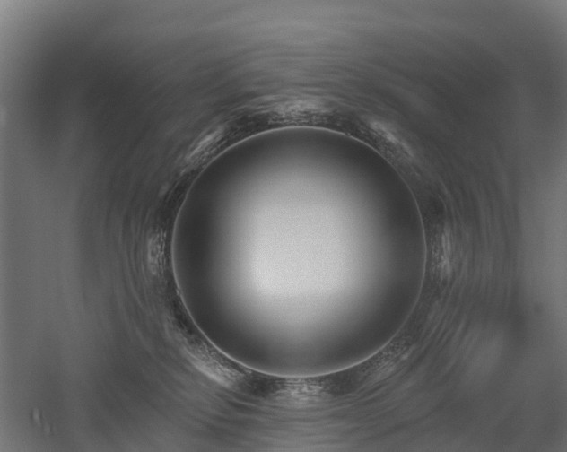 X0000052940278200507151651