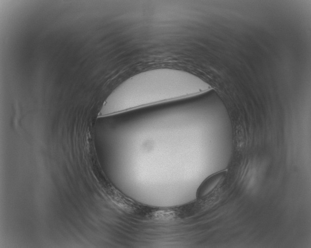 X0000052940279200507151651