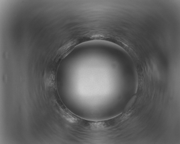 X0000052940281200507151651