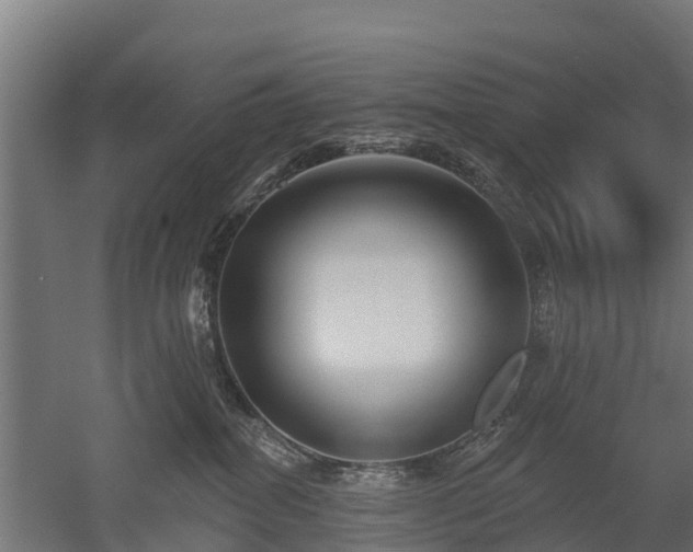 X0000052940282200507151651