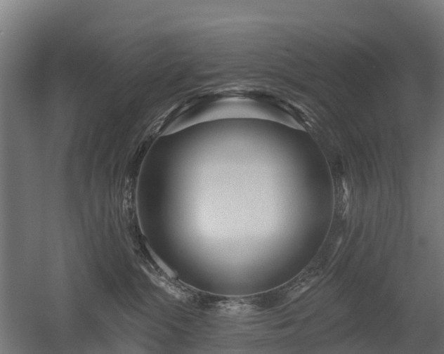 X0000052940284200507151651