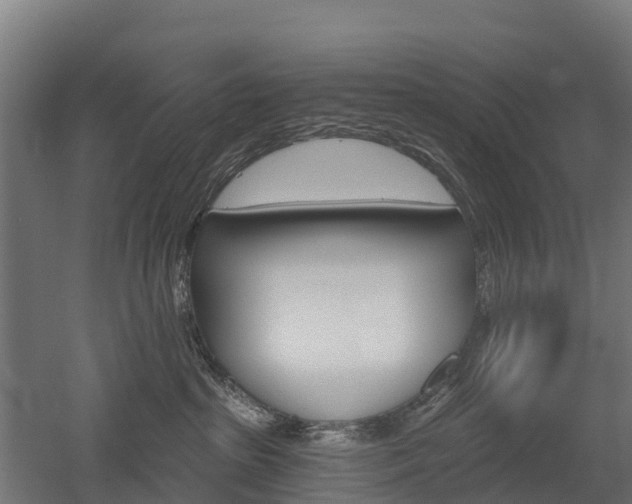 X0000052940285200507151651