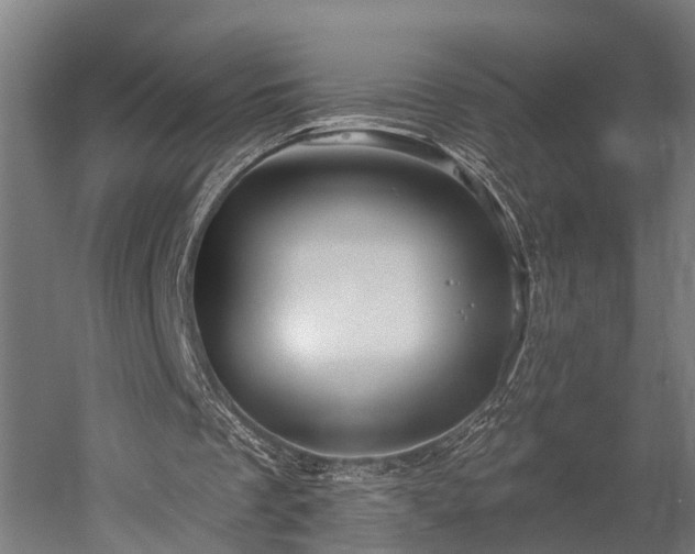 X0000052940289200507151650