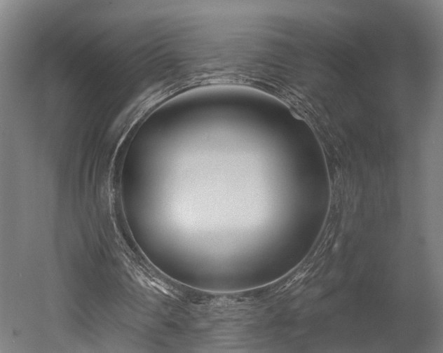 X0000052940290200507151650