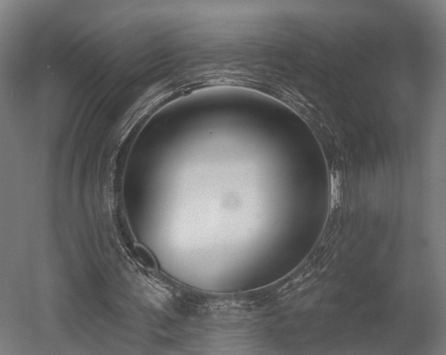 X0000052940291200507151650