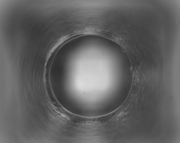 X0000052940292200507151650