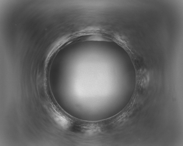 X0000052940293200507151650