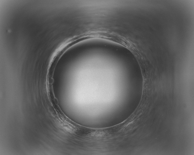 X0000052940294200507151650