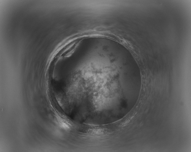 X0000052940295200507151650