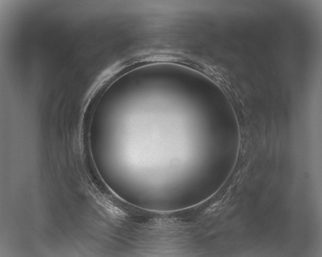 X0000052940296200507151650