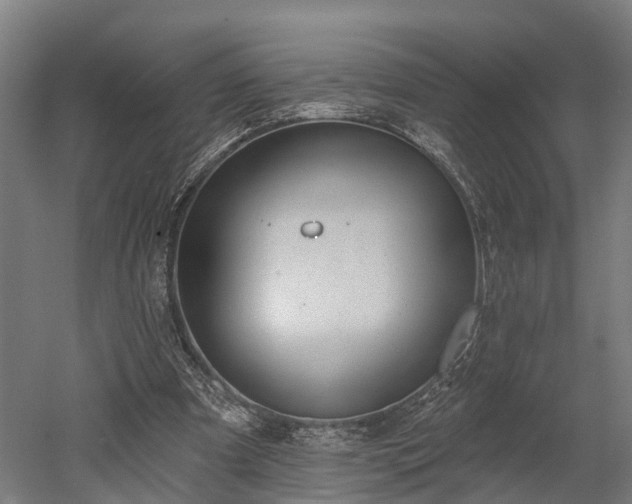 X0000052940297200507151650