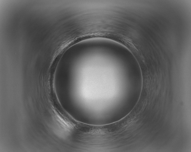 X0000052940299200507151650