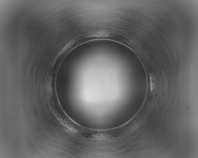 X0000052940300200507151650