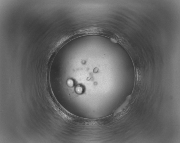 X0000052940301200507151650