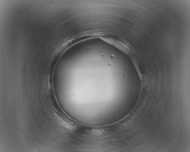 X0000052940302200507151650