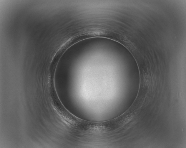 X0000052940304200507151650