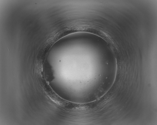 X0000052940307200507151650