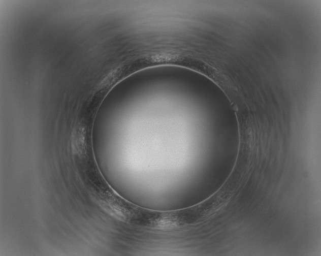 X0000052940308200507151650