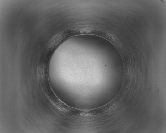 X0000052940311200507151650