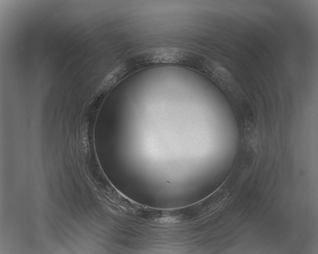 X0000052940312200507151650