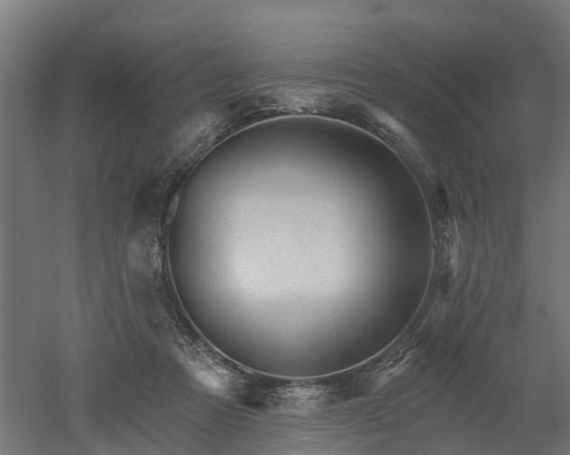 X0000052940313200507151650