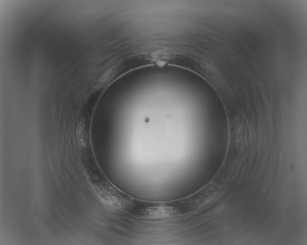 X0000052940316200507151650