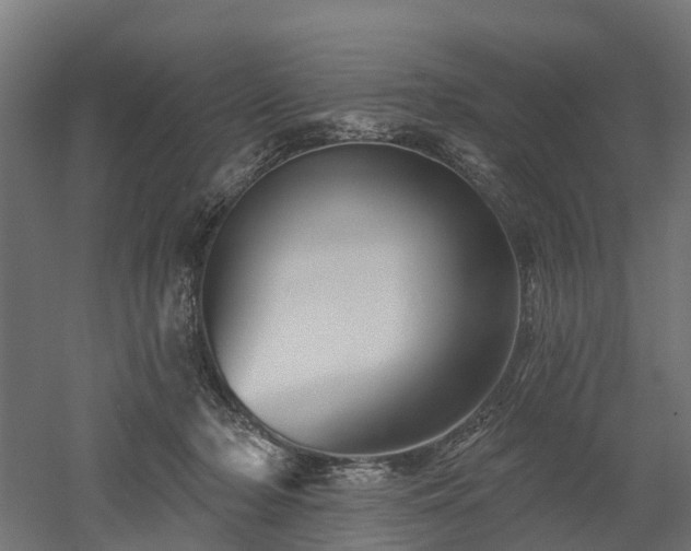 X0000052940318200507151650