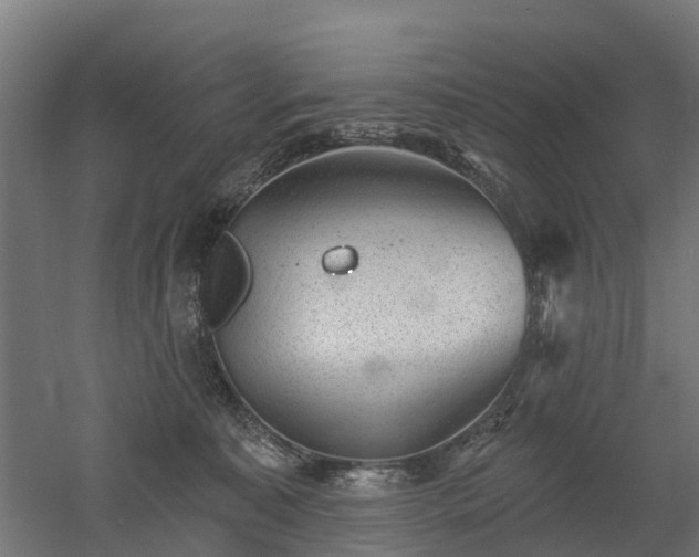 X0000052940323200507151650