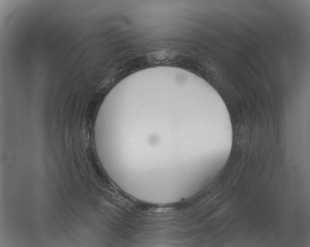 X0000052940324200507151650