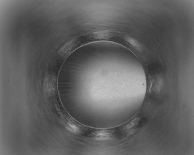 X0000052940325200507151650