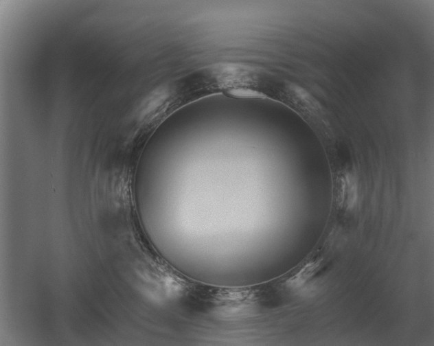 X0000052940329200507151650