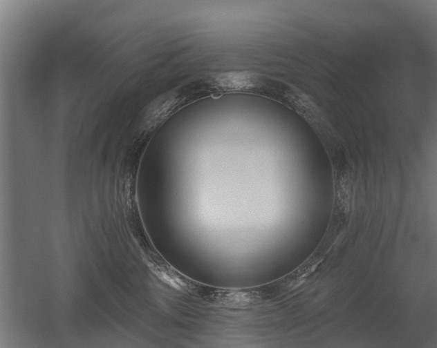 X0000052940330200507151649