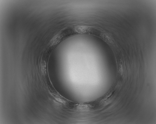 X0000052940332200507151649