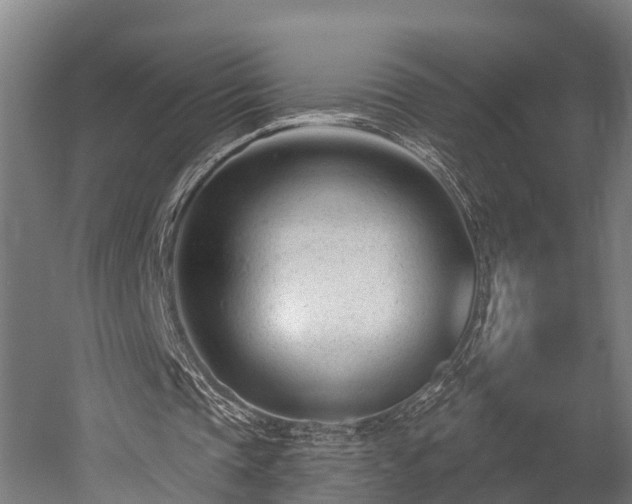 X0000052940337200507151649