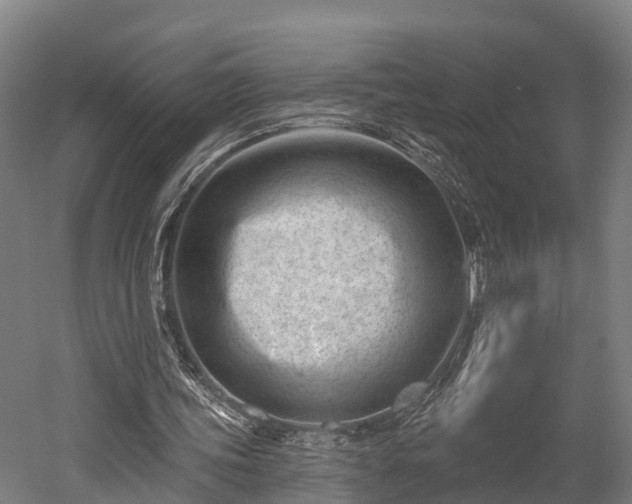 X0000052940339200507151649