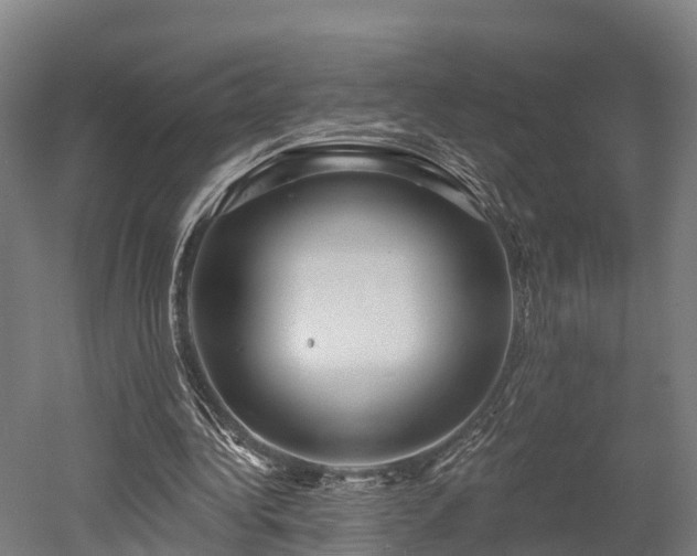 X0000052940340200507151649