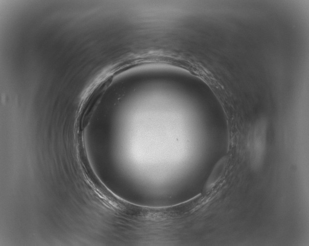 X0000052940341200507151649