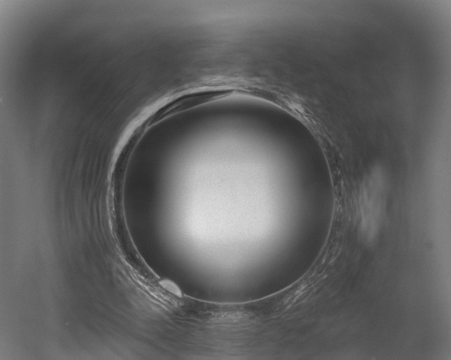 X0000052940342200507151649