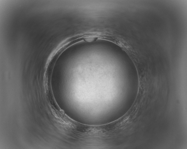 X0000052940343200507151649