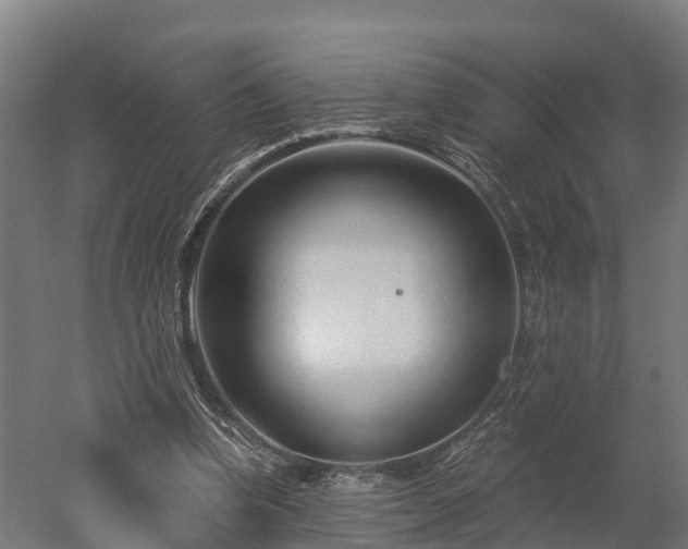 X0000052940346200507151649