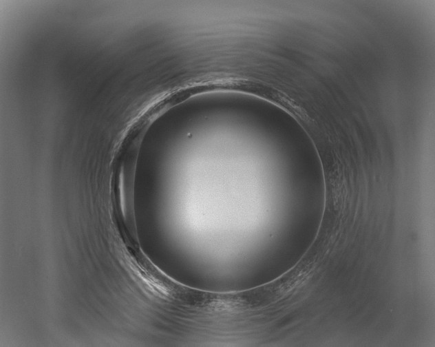 X0000052940350200507151649