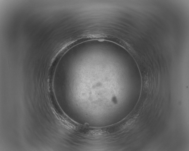 X0000052940351200507151649