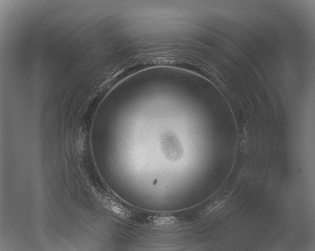 X0000052940355200507151649