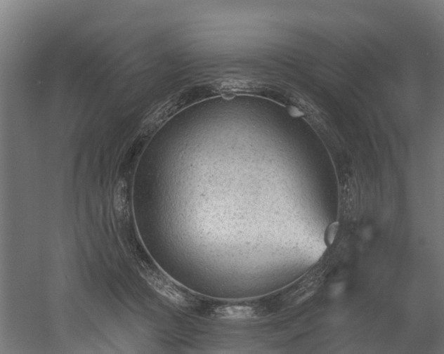 X0000052940361200507151649