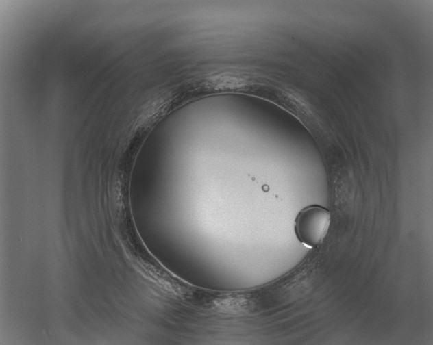 X0000052940362200507151649